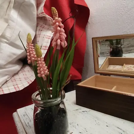El Raco De La Civaderia, Casa En